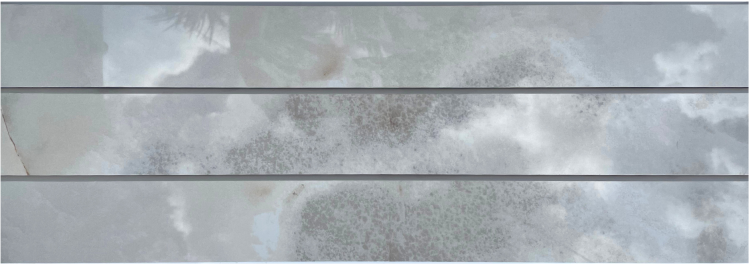 Reves Noisette Glossy Bullnose 3 x 24